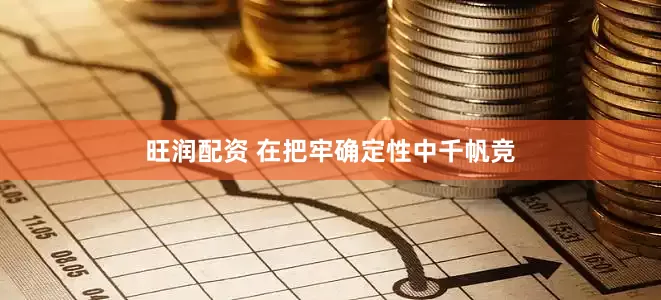 旺润配资 在把牢确定性中千帆竞