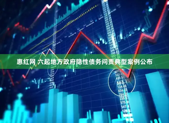 惠红网 六起地方政府隐性债务问责典型案例公布